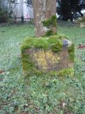 image number 2